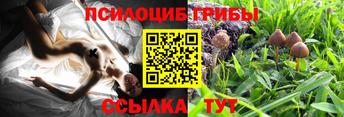 Рассказово  Псилоцибиновые грибы ЛСД  Вход с VPN 