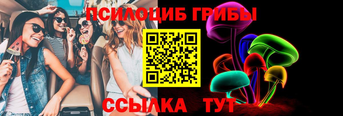 Галлюциногенные грибы Cubensis Рассказово